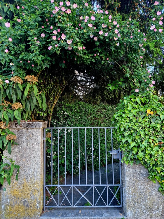 Grosser privater Garten und ein Monat mietfrei! 3