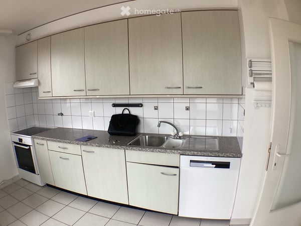 Bel appartement lumineux avec grande terrasse – Genève Plainpalais 4