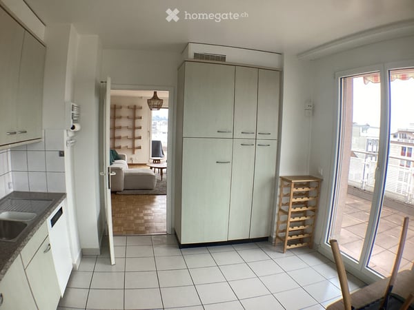 Bel appartement lumineux avec grande terrasse – Genève Plainpalais 5