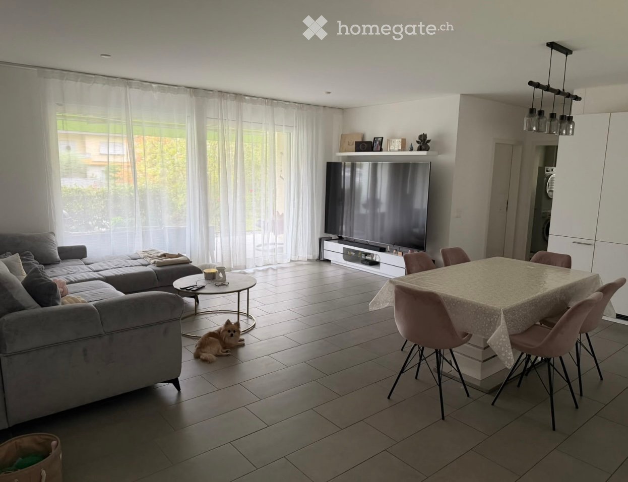 Modern living and dining area with a grey sectional sofa, coffee table, flat-screen TV, dining table with chairs, and a small dog resting on the floor.