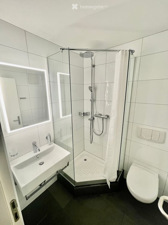 3 1/5 Zi Wohnung am Züriberg 8