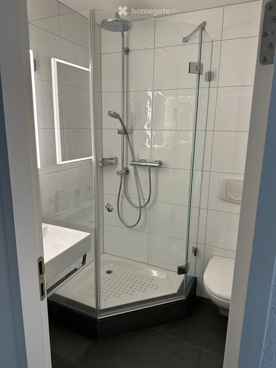 3 1/5 Zi Wohnung am Züriberg 10