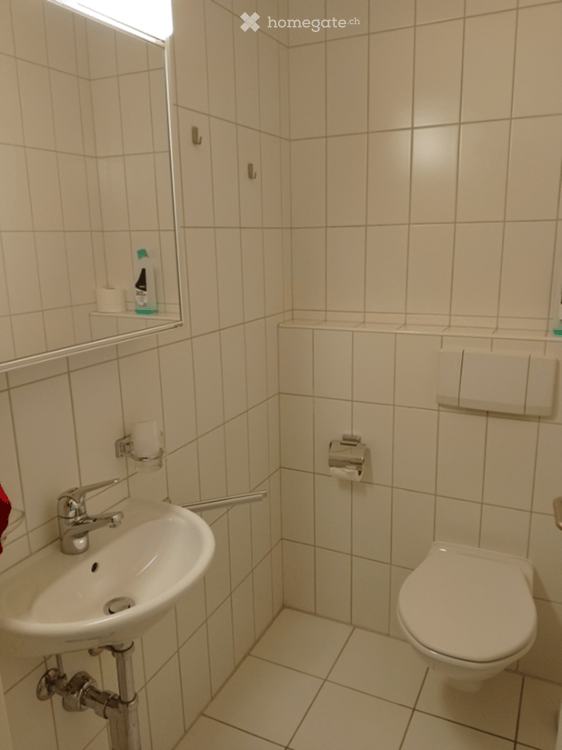 Modernes Büro in zentraler Lage von Horgen 8
