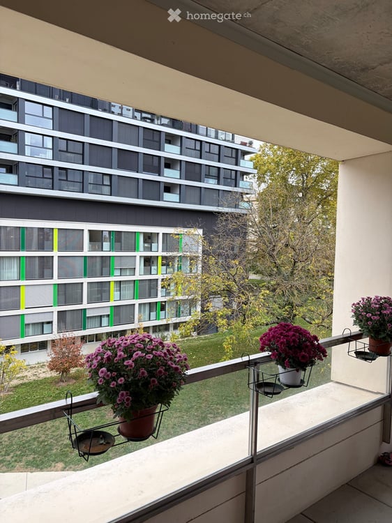 Reprise de Bail au 15.12.2026 - Appartement 4 Pièce - Coté Parc (Mais. Retraite Grand Saconnex) 2