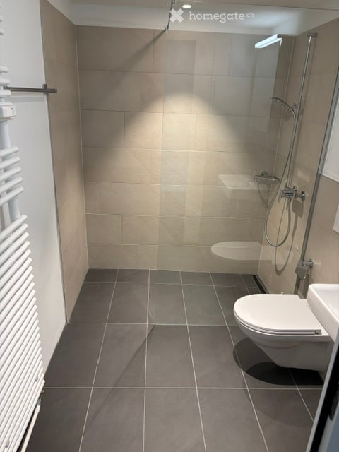 2.5 Zimmerwohnung zu Vermieten mit Dachterrasse - wie neu - nach Komplet-Renovation 3