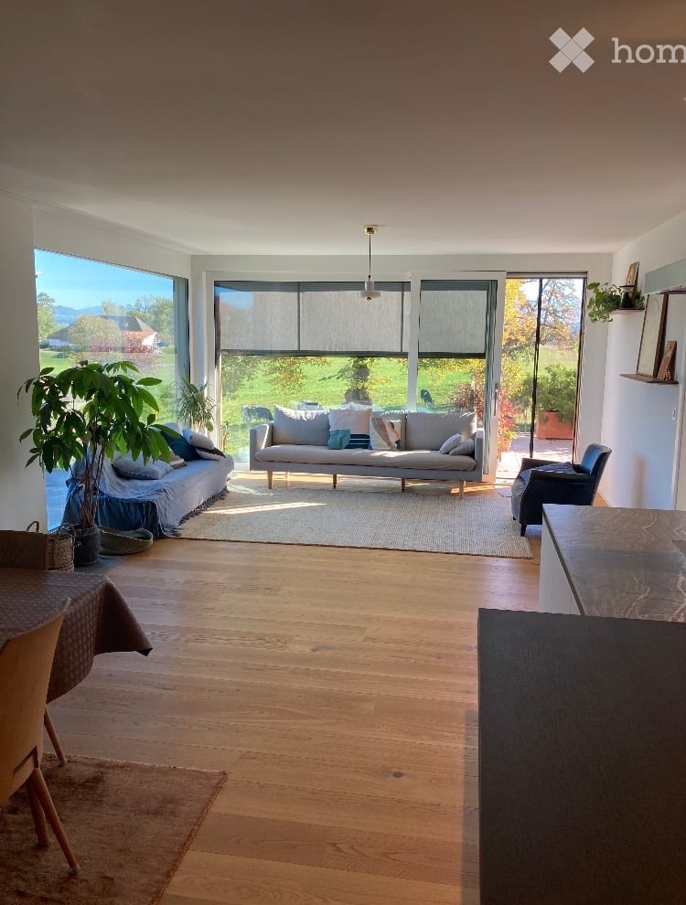 Bright living room with large windows, wooden flooring, a grey sofa, a single armchair, a dining table, and a potted plant near the window.