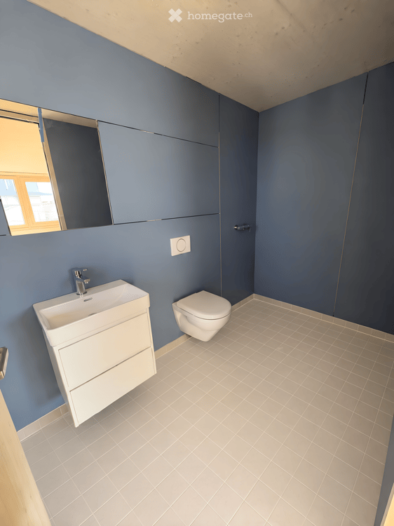 ERSTVERMIETUNG 4.5- ZWG Loft-Maisonette mit 39m² Terrasse 3
