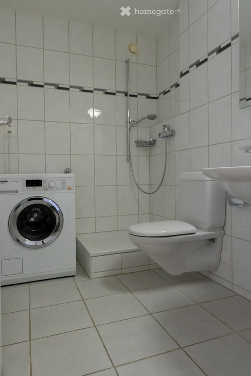 Grosszügige 4,5 Zimmer-Gartenwohnung in Zürich-Höngg 8