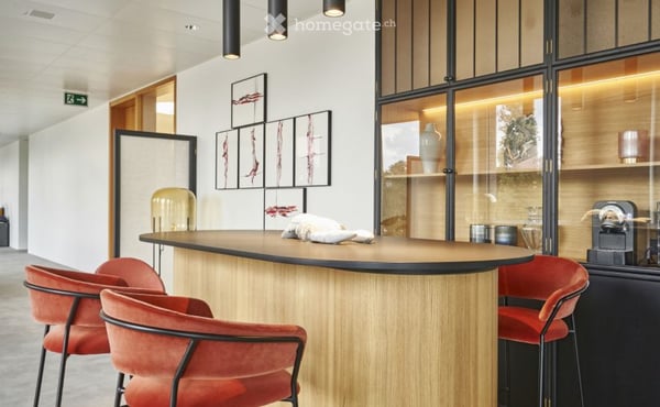 Superbes bureaux contemporains et lumineux, meublés, 235 à 300 m², Gare des Eaux-Vives 6