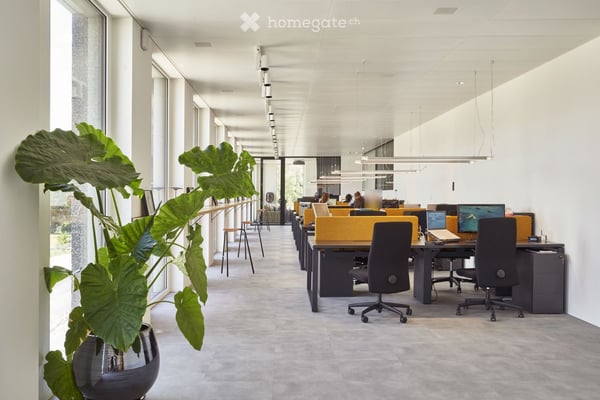 Superbes bureaux contemporains et lumineux, meublés, 235 à 300 m², Gare des Eaux-Vives 4