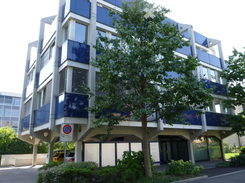 multi-story building, blue and white walls, large windows, parking place