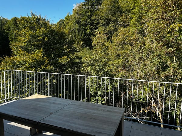 Dachwohnung in Fischingen 9