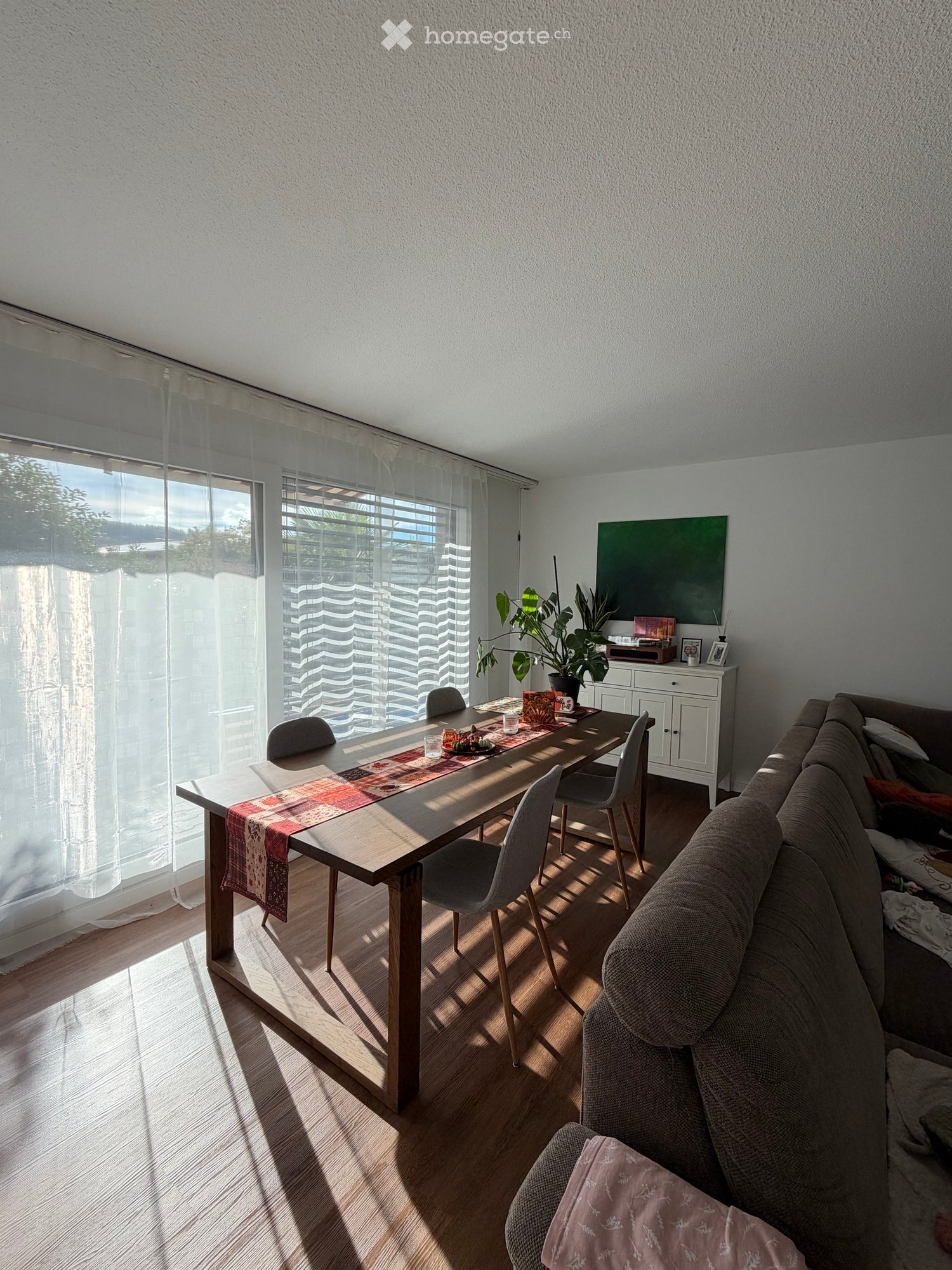 Bright living and dining area with a wooden dining table, chairs, sofa, and a small cabinet with a plant on top.
