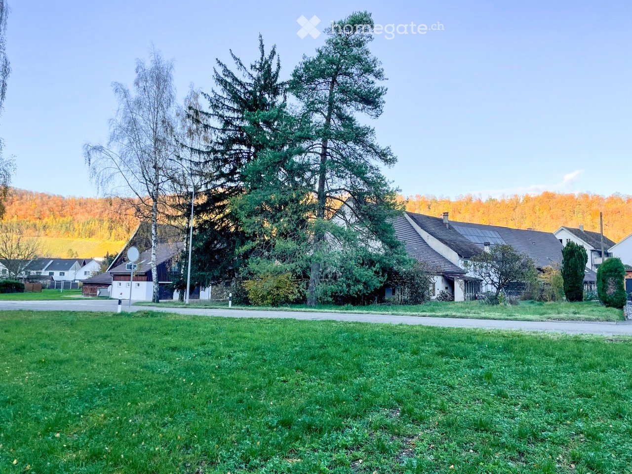 Residential property, semi-detached house, large trees, open grassland, distant orange autumnal foliage