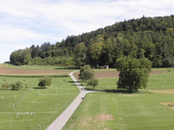 3,5 Zimmer Attikawohnung am Dorfrand 8