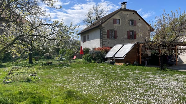Aperçu de l'image de l'immobilier