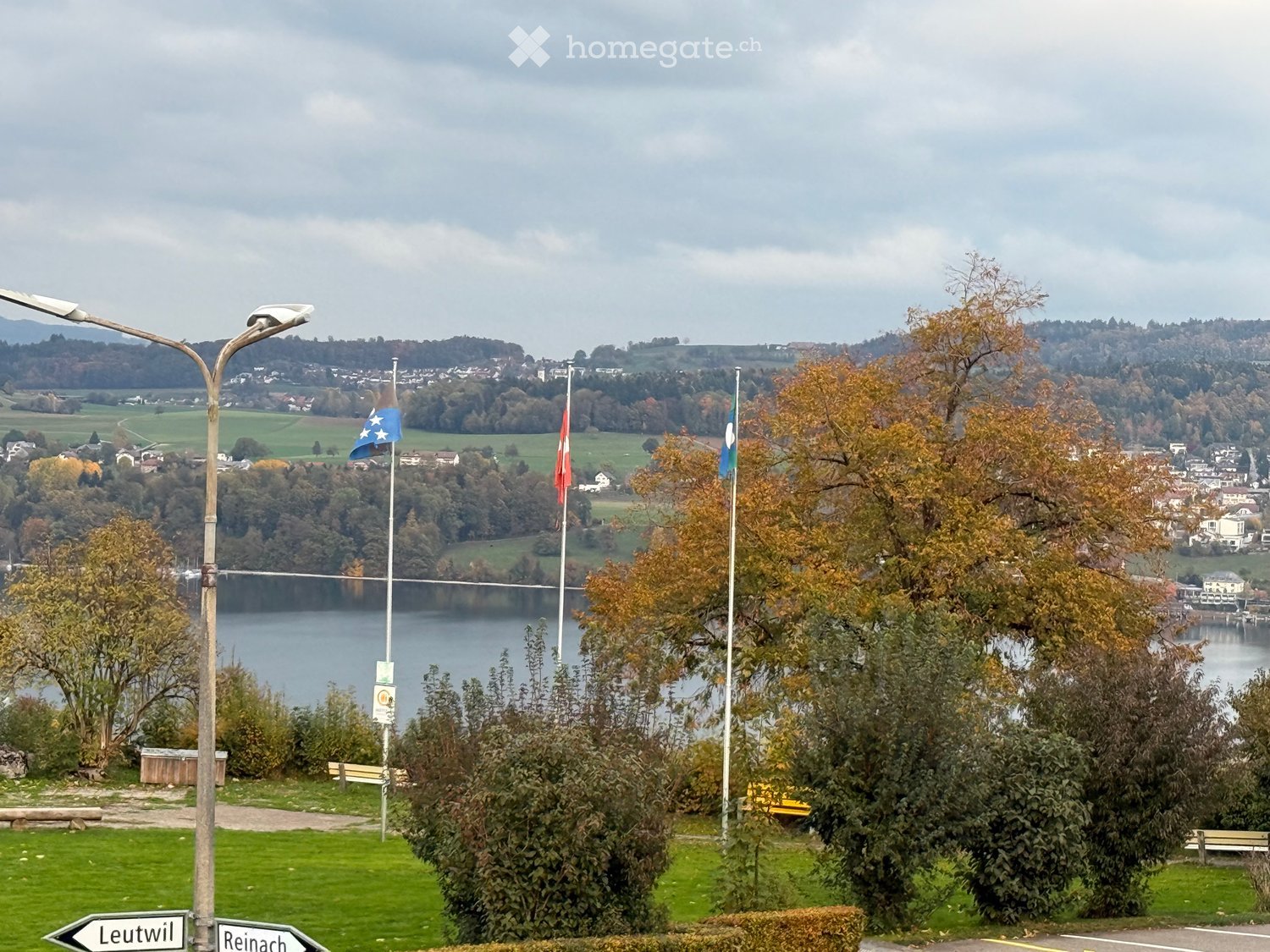 A scenic lakeside view with flags, trees, and a distant town, surrounded by green fields and a cloudy sky.