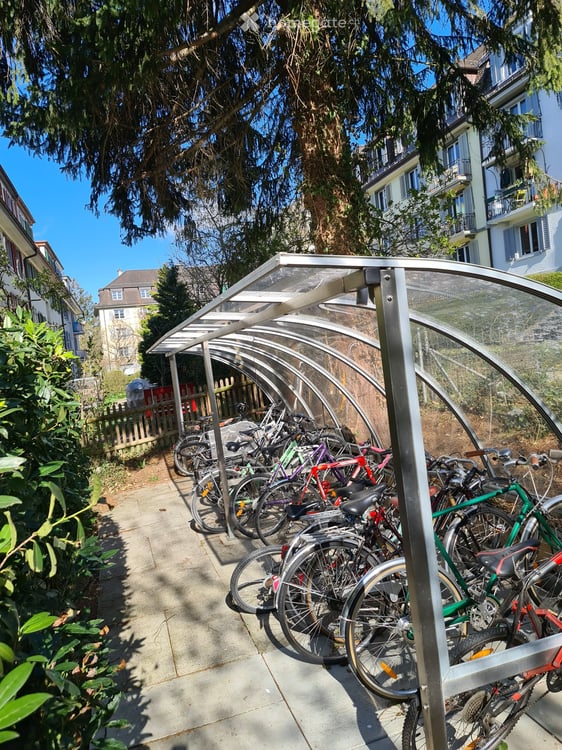 grüne Oase inmitten der Stadt 10