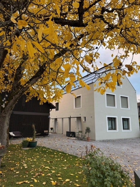 Courtyard area of a house with a tree, small garden, patio furniture, and a modern building in the background.