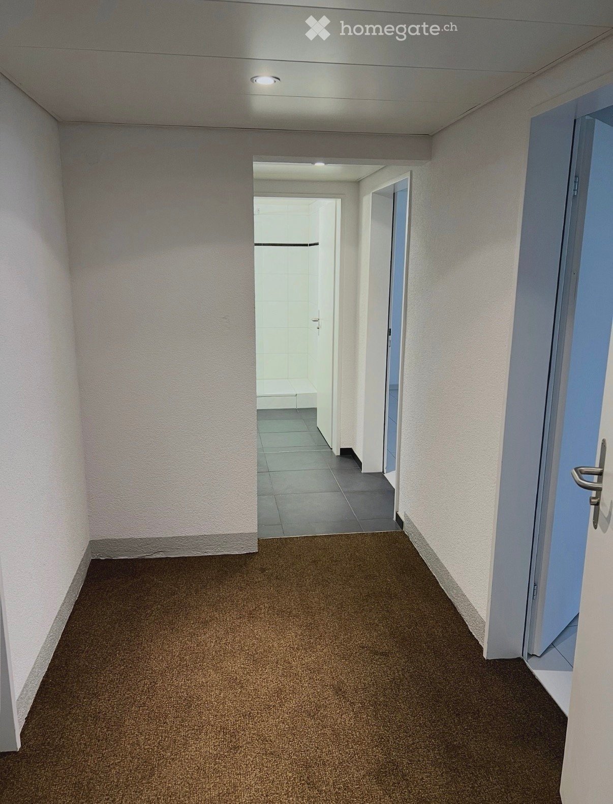 Empty hallway with beige walls, brown carpet, and white ceiling lights. Doors lead to other rooms.