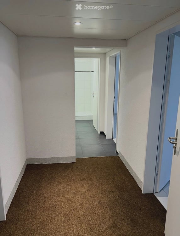 Helles Gewerbeatelier mit Dusche & Tiefgarage in Glattbrugg