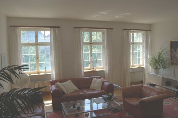 Traumhafte Wohnung mit Chemineé direkt am Rhein 5