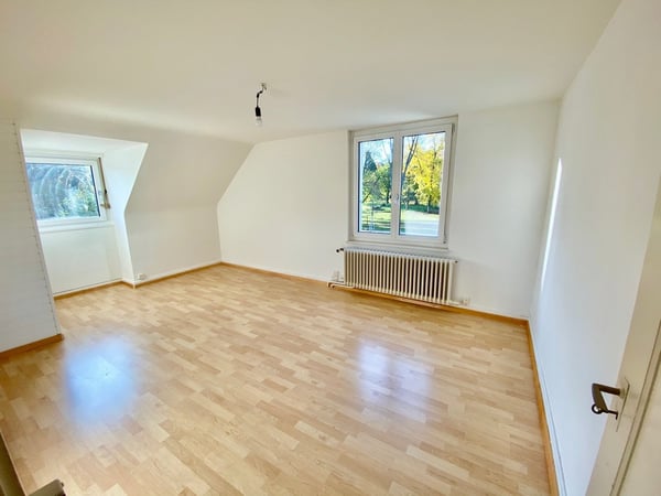 Die grüne Oase in Basel 3