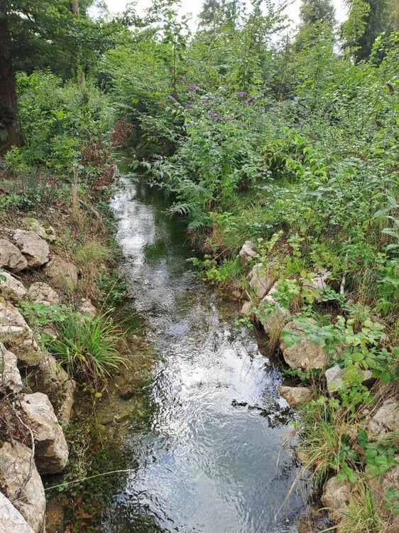 Aperçu de l'image de l'immobilier