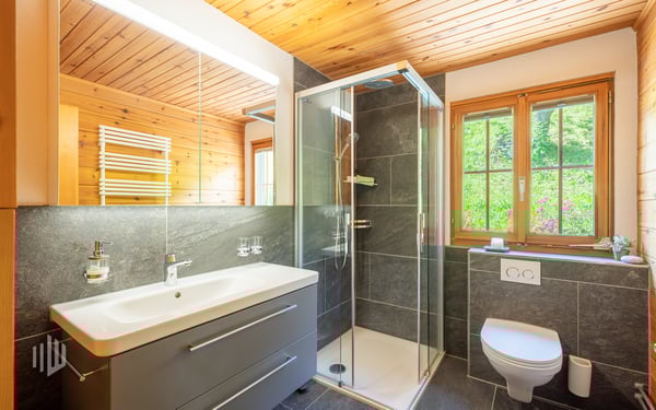 ImmoWyss - Chalet mit Einlieger-Studio unterhalb der Eiger-Nordwand 8