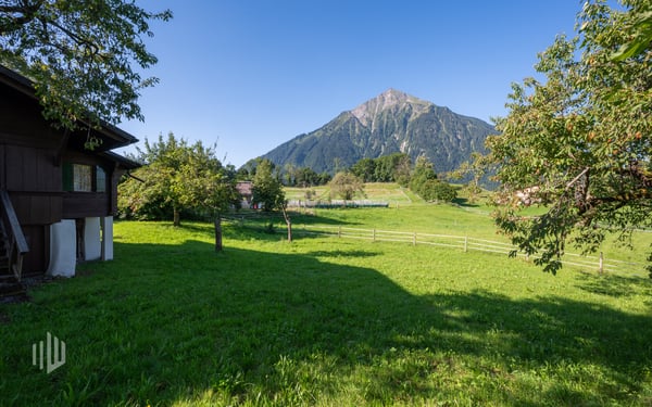 ImmoWyss - Urchiges Chalet mit grosser Baulandreserve und Niesenblick 8