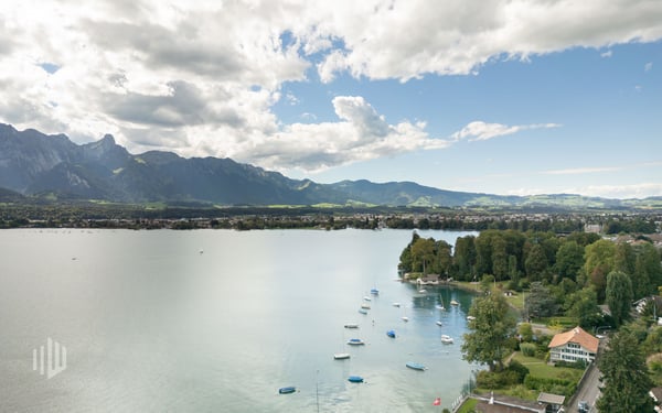 ImmoWyss - 1'113 m2 Bauland am Thunersee für exklusive Wohnträume 3