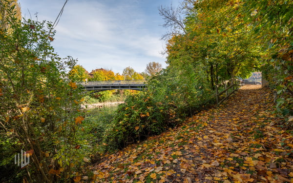 ImmoWyss - 3800 m2 Wohnen/Gewerbe-Bauland in der Bädlimatte Thun 8