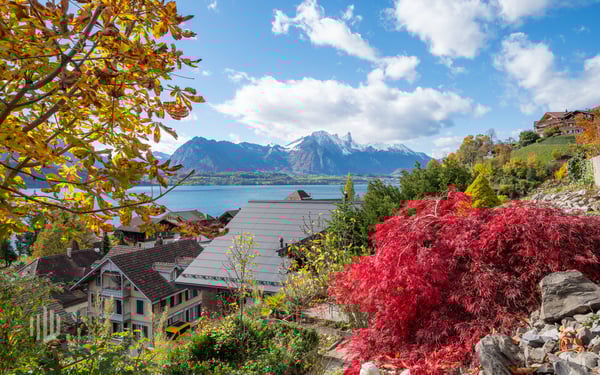ImmoWyss -  Dreifamilienhaus mit Charme und unvergleichlicher Aussicht 13