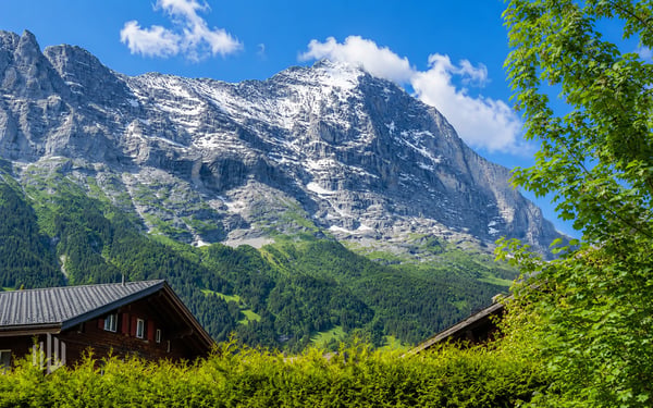 ImmoWyss - 4,5-Zimmer Garten-Ferienwohnung mit Sicht zum Eiger 10