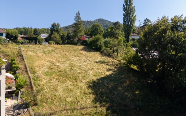 ImmoWyss - Attraktive Bauparzelle mit 1966 m2 an bevorzugter Wohnlage 6