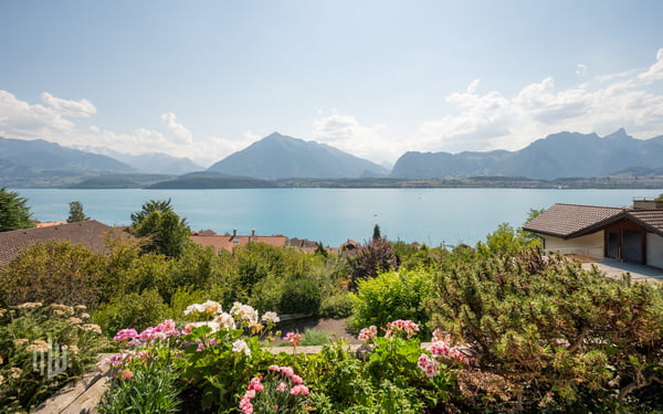 ImmoWyss - Einfamilienhaus über dem Thunersee mit unverbaubarer Sicht 8