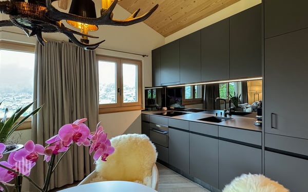 ImmoWyss - Alleinstehendes (Ferien-) Chalet unter der Eigernordwand 8