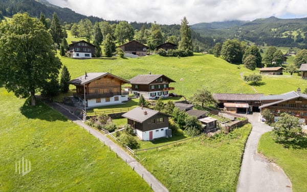 ImmoWyss - Alleinstehendes (Ferien-) Chalet unter der Eigernordwand 2