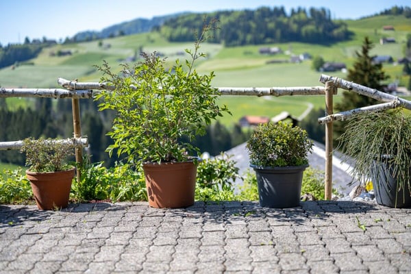 Idyllisches Einfamilienhaus in traumhafter Hanglage im Neckertal 14