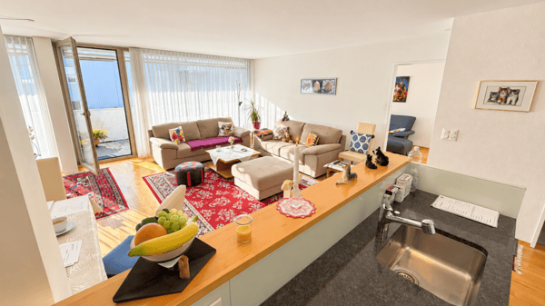 Helle, grosszügige Familienwohnung, urbaner Komfort trifft auf naturnahes Wohnen 5