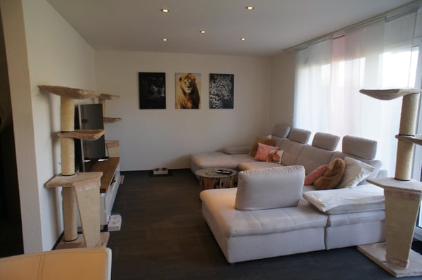 Charmantes 1.5-Zimmer-Haus mit schönem Garten 2