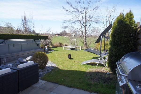 Charmantes 1.5-Zimmer-Haus mit schönem Garten 8