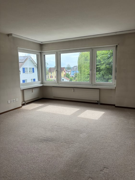 Geräumige Wohnung mit Balkon in Romanshorn 2