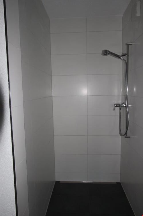 3 1/2-Zimmer-Dachwohnung 10