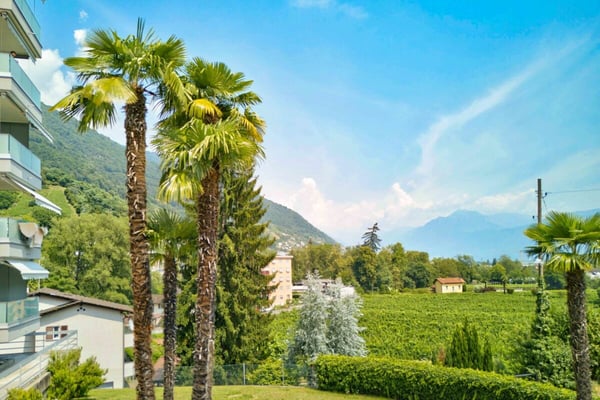 Gepflegte 3.5 Zimmer-Ferienwohnung am Lago Maggiore in Tenero 26