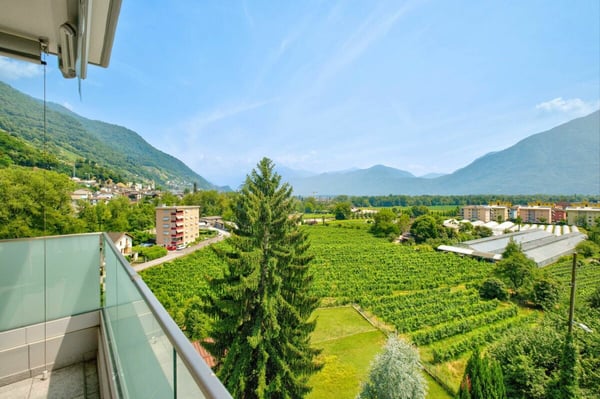 Gepflegte 3.5 Zimmer-Ferienwohnung am Lago Maggiore in Tenero 18