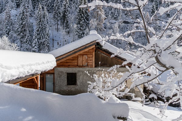 Ein Bijou für Naturliebhaber in Albinen 4