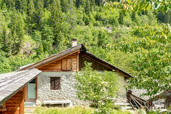 Ein Bijou für Naturliebhaber in Albinen 1