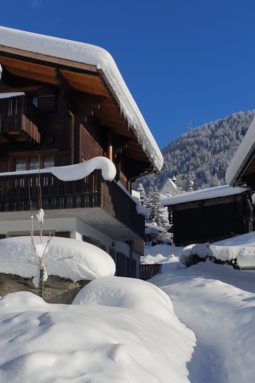 Gemütliches Walliser Chalet mit zwei Wohnungen in Mühlebach 3