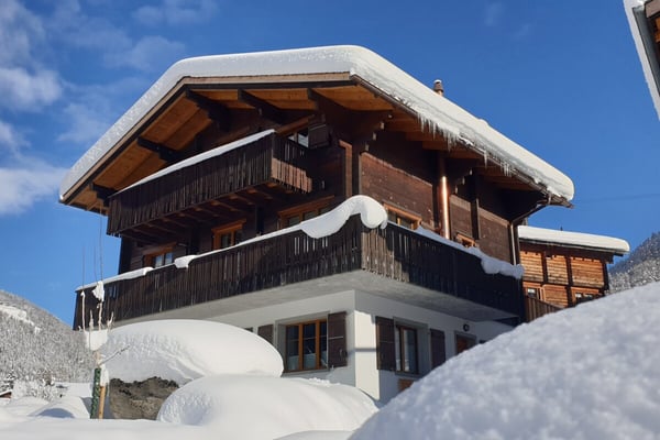 Gemütliches Walliser Chalet mit zwei Wohnungen in Mühlebach 1